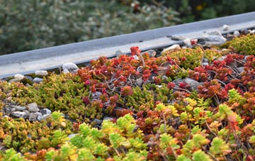 the cost of Trimley Lower Street green roof installation
