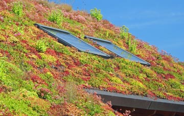 Trimley Lower Street living roof systems