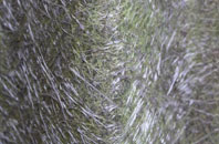 Trimley Lower Street fibreglass roof work